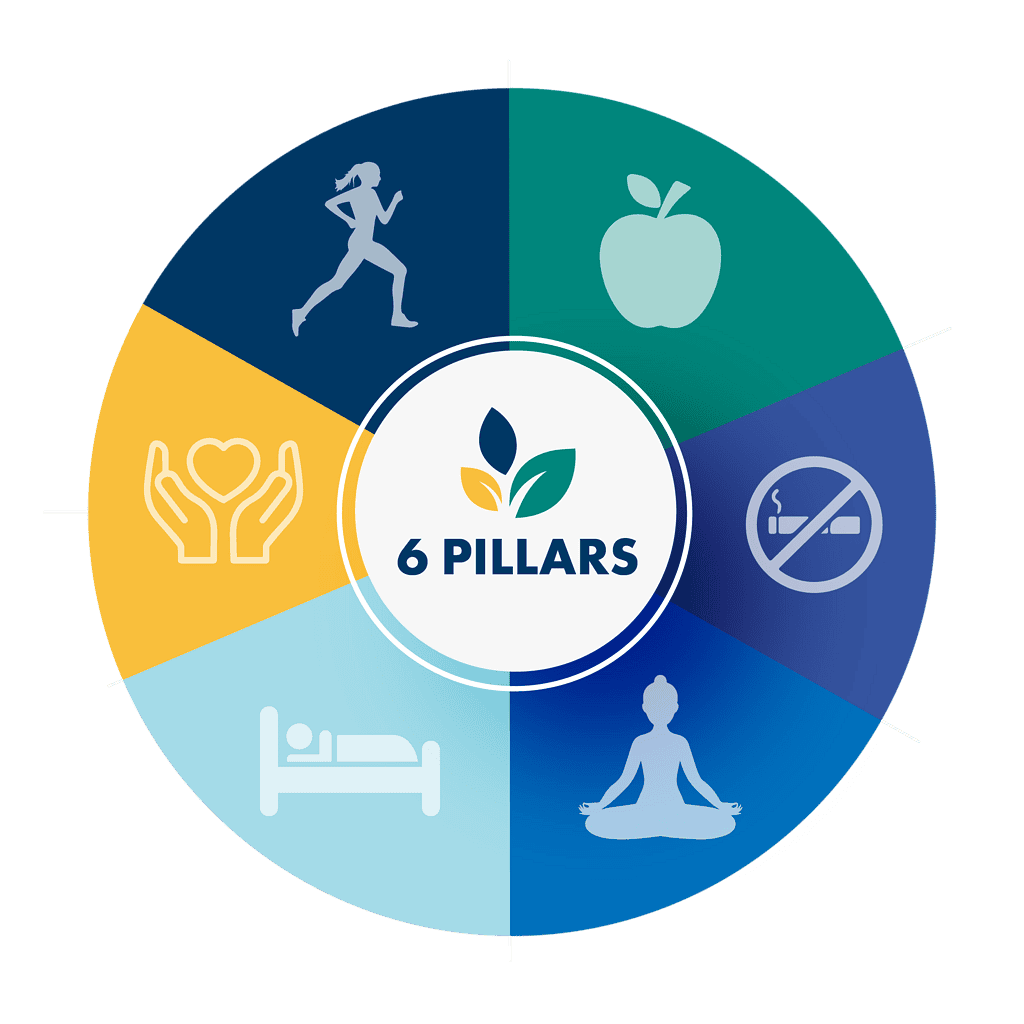 The six pillars of lifestyle medicine