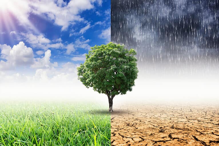 Seasons of Life