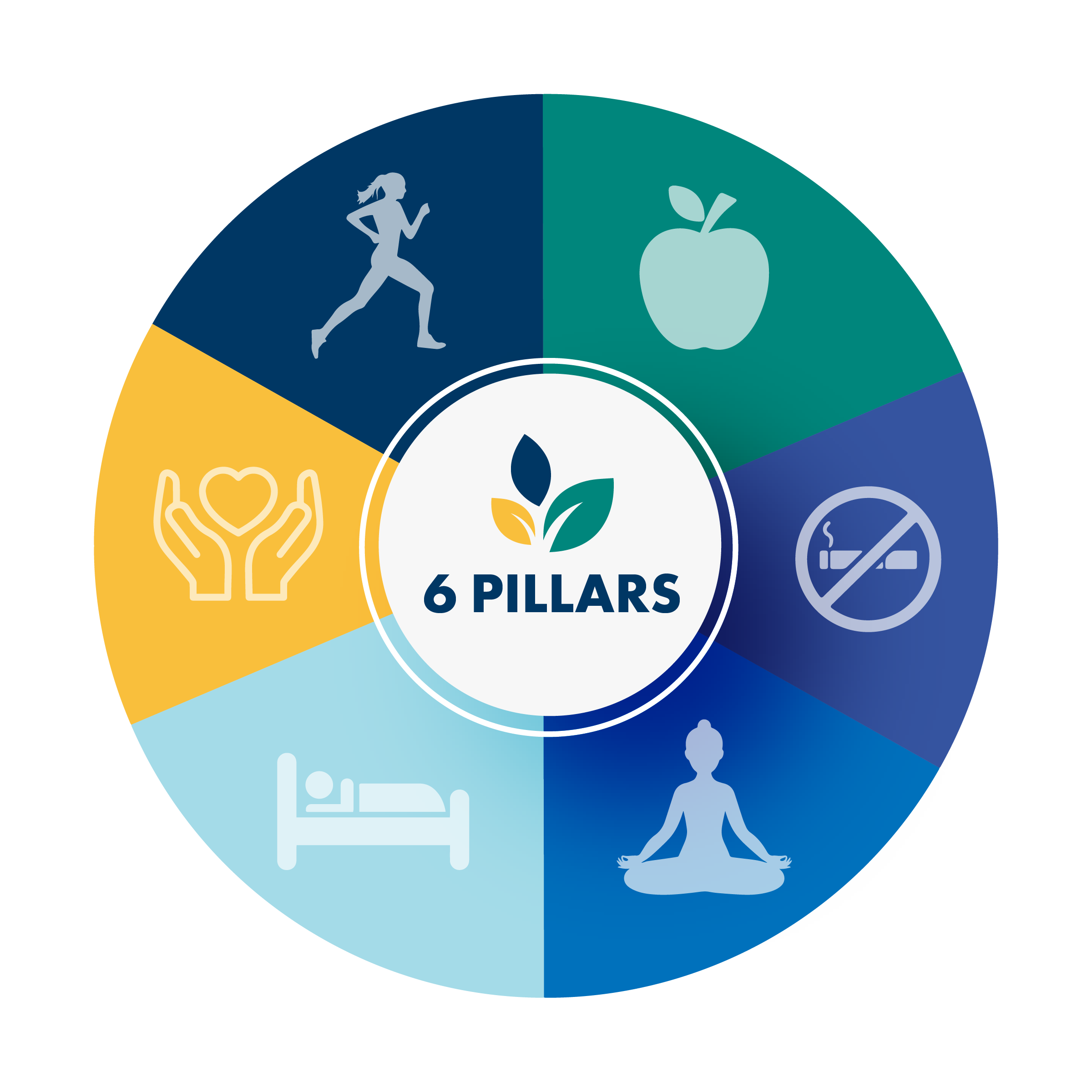 The 6 Pillars of Lifestyle Medicine